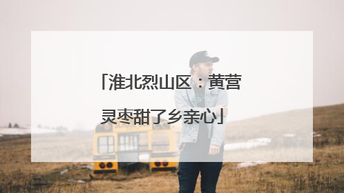 淮北烈山区：黄营灵枣甜了乡亲心