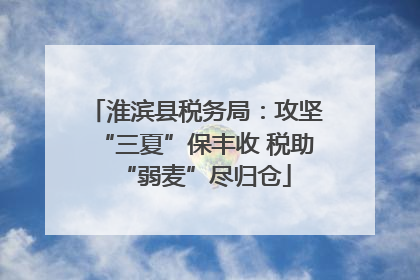 淮滨县税务局：攻坚“三夏”保丰收 税助“弱麦”尽归仓
