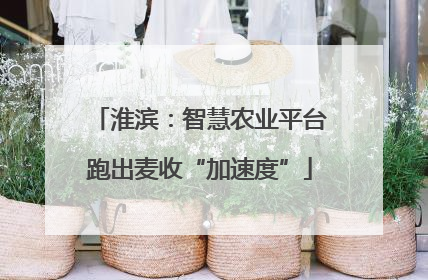 淮滨：智慧农业平台跑出麦收“加速度”