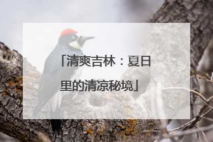 清爽吉林：夏日里的清凉秘境