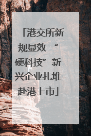 港交所新规显效 “硬科技”新兴企业扎堆赴港上市
