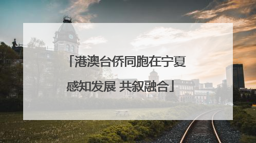 港澳台侨同胞在宁夏感知发展 共叙融合