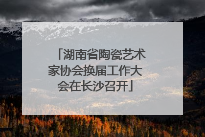 湖南省陶瓷艺术家协会换届工作大会在长沙召开