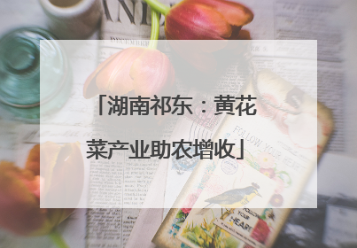 湖南祁东：黄花菜产业助农增收