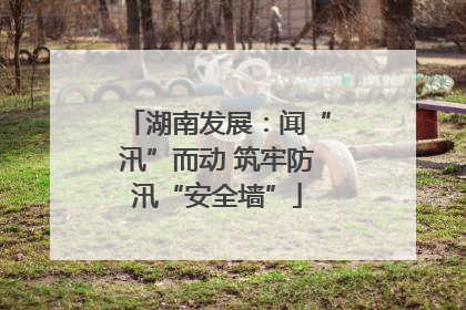 湖南发展：闻“汛”而动 筑牢防汛“安全墙”