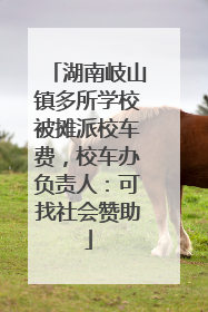 湖南岐山镇多所学校被摊派校车费，校车办负责人：可找社会赞助
