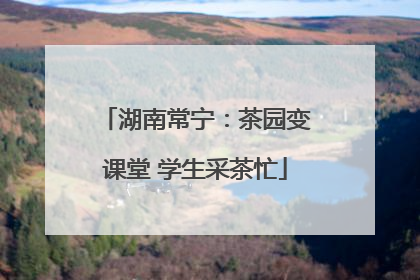 湖南常宁：茶园变课堂 学生采茶忙