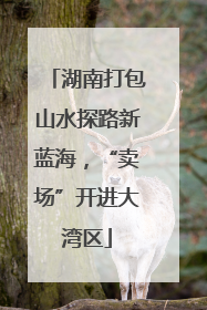 湖南打包山水探路新蓝海，“卖场”开进大湾区