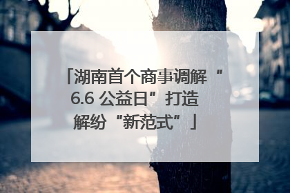 湖南首个商事调解“6.6 公益日”打造解纷“新范式”