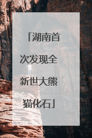 湖南首次发现全新世大熊猫化石