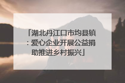 湖北丹江口市均县镇：爱心企业开展公益捐助推进乡村振兴