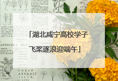 湖北咸宁高校学子飞桨逐浪迎端午