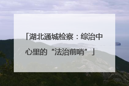 湖北通城检察：综治中心里的“法治前哨”