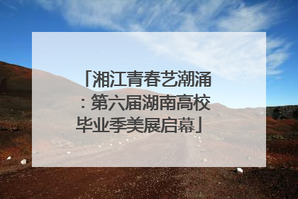 湘江青春艺潮涌：第六届湖南高校毕业季美展启幕