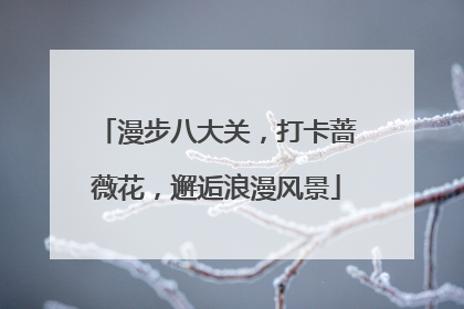 漫步八大关，打卡蔷薇花，邂逅浪漫风景