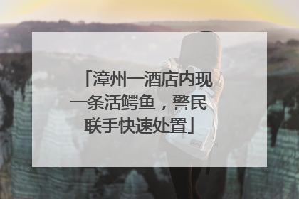 漳州一酒店内现一条活鳄鱼，警民联手快速处置