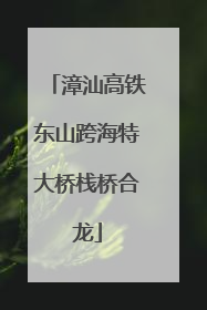 漳汕高铁东山跨海特大桥栈桥合龙