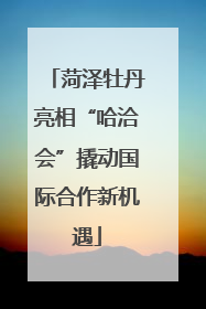 菏泽牡丹亮相“哈洽会”撬动国际合作新机遇
