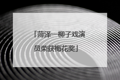 菏泽一柳子戏演员荣获梅花奖