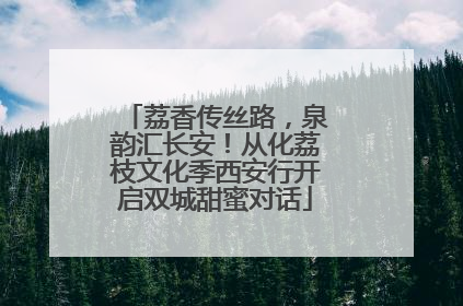 荔香传丝路，泉韵汇长安！从化荔枝文化季西安行开启双城甜蜜对话
