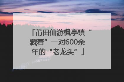 莆田仙游枫亭镇“藏着”一对600余年的“老龙头”