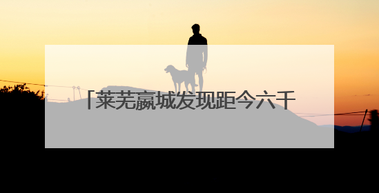 莱芜嬴城发现距今六千多年前北辛时期磨盘