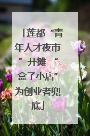 莲都“青年人才夜市”开摊 “盒子小店”为创业者兜底