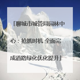 聊城市城管局园林中心：抢抓时机 全面完成道路绿化优化提升