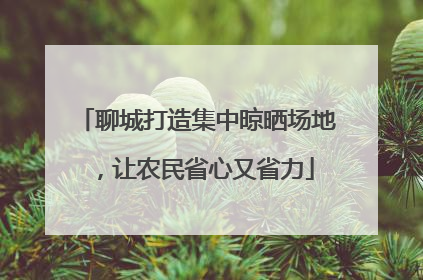 聊城打造集中晾晒场地，让农民省心又省力