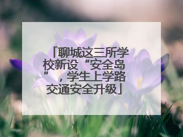 聊城这三所学校新设“安全岛”，学生上学路交通安全升级