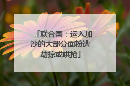 联合国：运入加沙的大部分面粉遭劫掠或哄抢