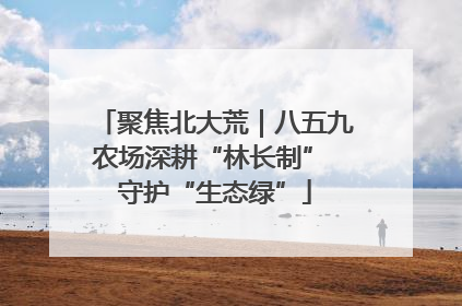 聚焦北大荒｜八五九农场深耕“林长制” 守护“生态绿”