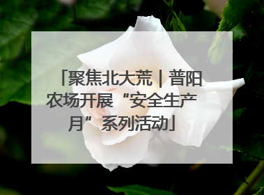 聚焦北大荒｜普阳农场开展“安全生产月”系列活动