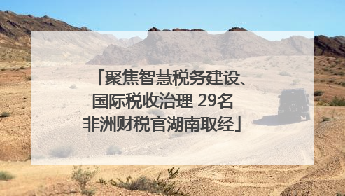 聚焦智慧税务建设、国际税收治理 29名非洲财税官湖南取经