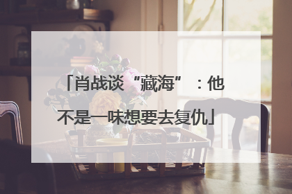 肖战谈“藏海”：他不是一味想要去复仇