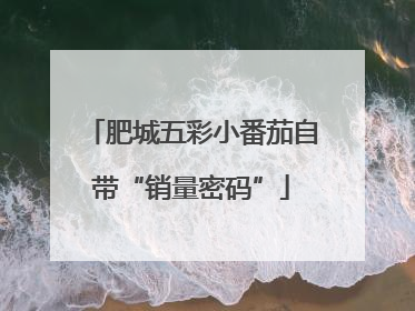 肥城五彩小番茄自带“销量密码”