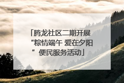 腾龙社区二期开展 “粽情端午 爱在夕阳”便民服务活动