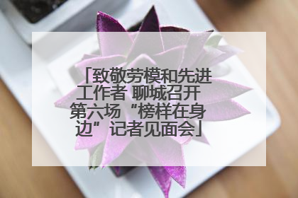 致敬劳模和先进工作者 聊城召开第六场“榜样在身边”记者见面会