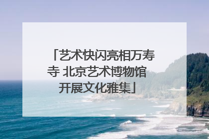 艺术快闪亮相万寿寺 北京艺术博物馆开展文化雅集