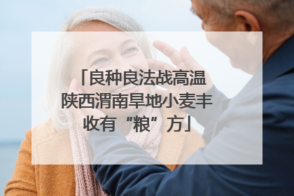 良种良法战高温 陕西渭南旱地小麦丰收有“粮”方