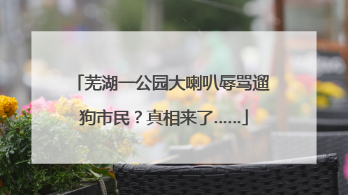 芜湖一公园大喇叭辱骂遛狗市民？真相来了……
