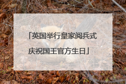 英国举行皇家阅兵式庆祝国王官方生日