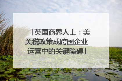 英国商界人士：美关税政策成跨国企业运营中的关键障碍