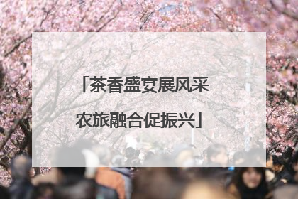 茶香盛宴展风采 农旅融合促振兴