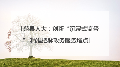 范县人大：创新“沉浸式监督” 精准把脉政务服务堵点