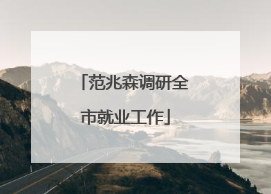 范兆森调研全市就业工作