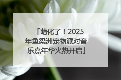 萌化了！2025年鱼梁洲宠物派对音乐嘉年华火热开启