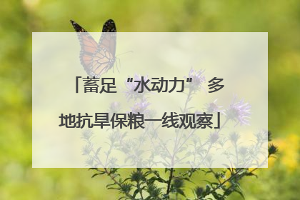 蓄足“水动力” 多地抗旱保粮一线观察