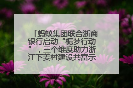 蚂蚁集团联合浙商银行启动“栀梦行动”，三个维度助力浙江下姜村建设共富示范区示范点