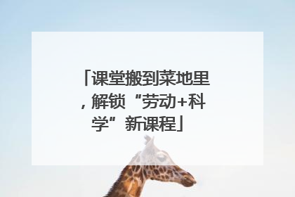 课堂搬到菜地里，解锁“劳动+科学”新课程